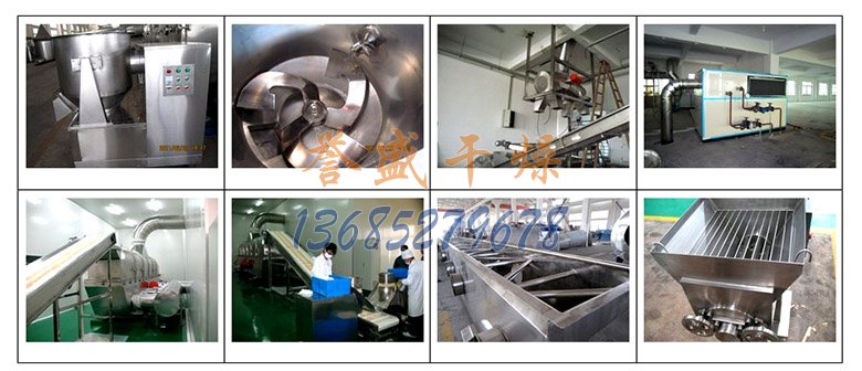 鸡精制粒干燥生产线