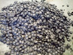 DWL系列翻板履带式干燥机-球团状干燥